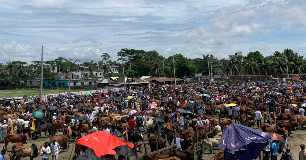 দক্ষিণাঞ্চলের বৃহত্তম ‘কালাইয়া পশুর হাট’