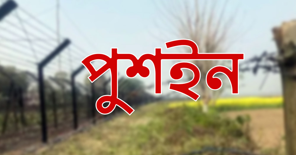 ভোলাহাট দিয়ে আরও ৮ বাংলাভাষীকে পুশইন করল বিএসএফ