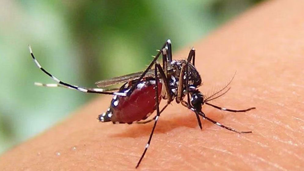 ডেঙ্গুতে এক দিনে সর্বোচ্চ ৫   জনের মৃত্যু, হাসপাতালে ১৫৯
