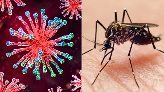 করোনা ও ডেঙ্গু রোধে শিক্ষাপ্রতিষ্ঠানে জরুরি নির্দেশনা