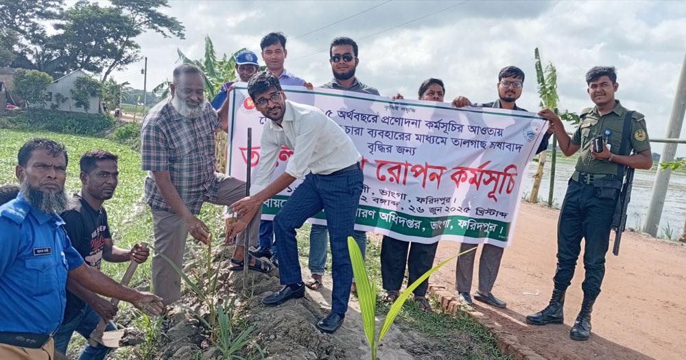 ভাঙ্গায় প্রণোদনা প্যাকেজে ২ শতাধিক তাল গাছের চারা রোপণ