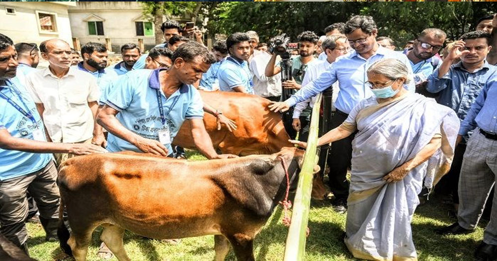 গবাদিপশুর স্বাস্থ্য রক্ষায় ভ্যাকসিন নিশ্চিত করতে হবে: প্রাণিসম্পদ উপদেষ্টা