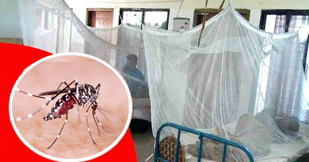 ডেঙ্গুতে একজনের মৃত্যু,৩৮৩ হাসপাতালে