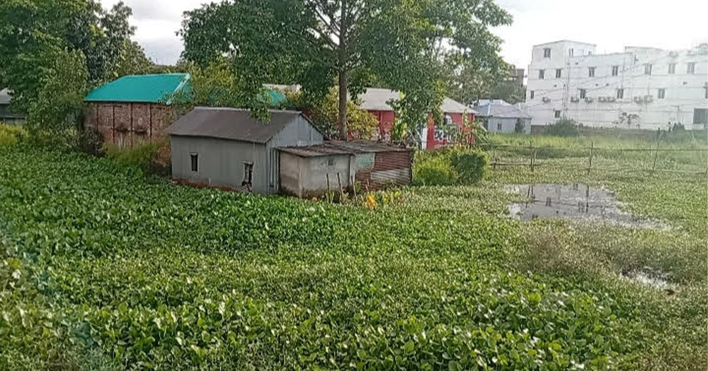 জলাবদ্ধতার সমাধান চায় ভাঙ্গা পৌরবাসী