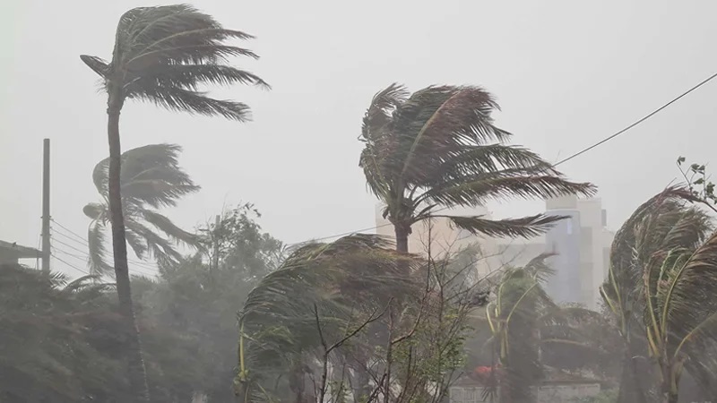 দুপুরের মধ্যে যেসব জেলায় হতে পারে ঝড়বৃষ্টি