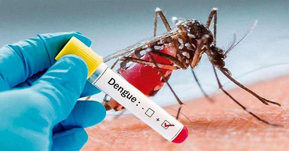 ডেঙ্গুতে ৩ জনের মৃত্যু, হাসপাতালে ভর্তি ৪৯২