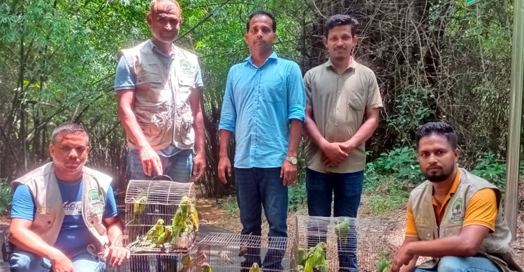 মিরপুরে ৬১টি পাখি ও ২টি কচ্ছপ   উদ্ধার,বোটানিক্যাল গার্ডেনে অবমুক্ত