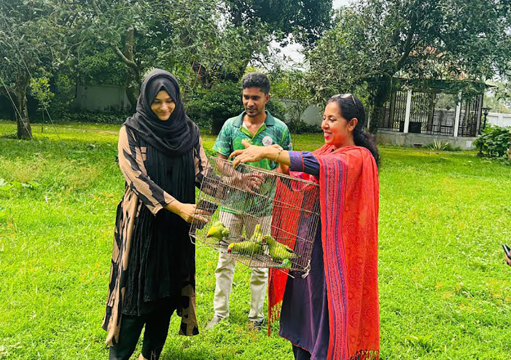 সীমান্তে আটক টিয়া পাখি, মুক্তি পেল প্রকৃতিতে