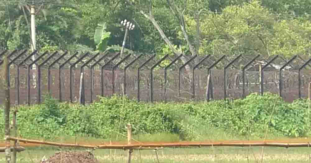 ধামইরহাট সীমান্তে ১০ জনকে ঠেলে দিল বিএসএফ