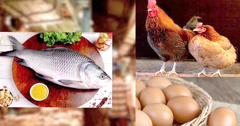 বেড়েছে মাছ, মুরগি ও ডিমের দাম