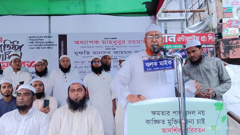 অন্তর্বর্তী সরকার জনগণের প্রকৃত সমস্যার সমাধানে ব্যর্থ : অধ্যাপক মাহবুবুর রহমান