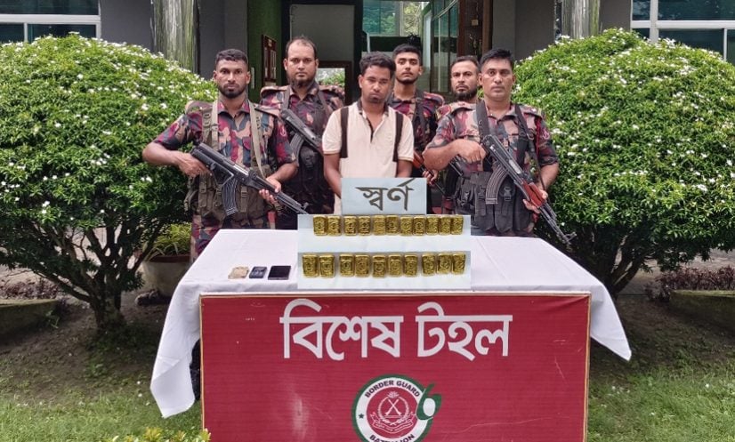 দর্শনা সীমান্তে ৩ কোটি ৬০ লাখ টাকার সোনা জব্দ, আটক ১