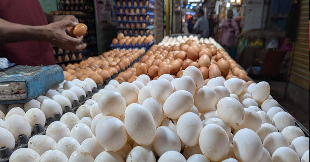 ডিমের ডজন এখন ১৫০ টাকা