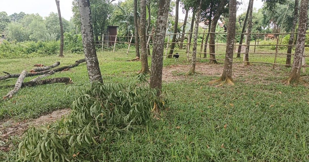 ভালুকায় ব্যবসায়ীর কাছে চাঁদা দাবি, না দেওয়ায় মারপিটের অভিযোগ