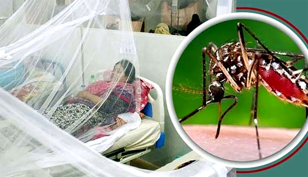 ডেঙ্গুতে মৃত্যু নেই, হাসপাতালে ভর্তি ৩৮০ রোগী