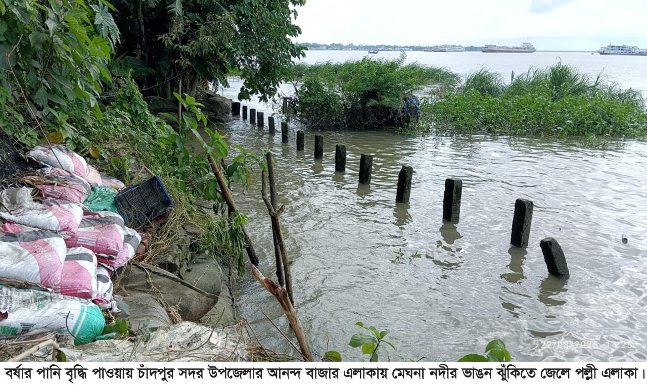 মেঘনার ভাঙন আতঙ্কে উপকূলীয় বাসিন্দারা