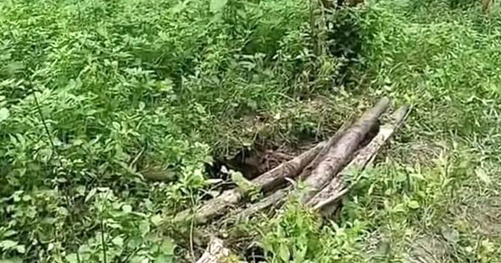 সাঘাটায় কবর থেকে ১৮ কঙ্কাল চুরি