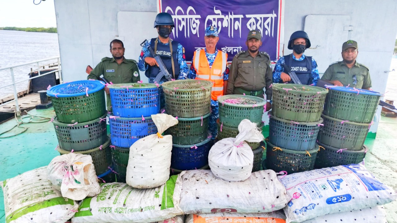 সুন্দরবনে ৮৫০ কেজি অবৈধ কাঁকড়া জব্দ
