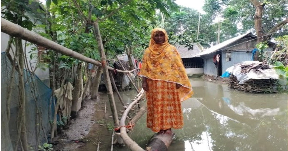শার্শায় বন্যার অবনতি, প্লাবিত বিস্তির্ণ এলাকা