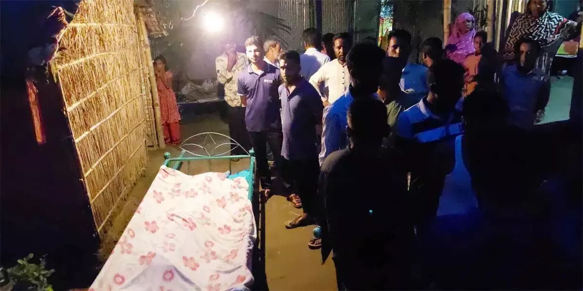 শেরপুরে বিলে  শাপলা তুলতে গিয়ে প্রাণ গেল দুই শিশুর