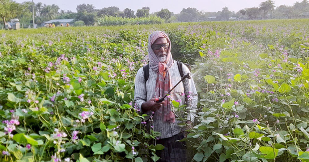 জলবায়ু পরিবর্তনে কীটনাশকের ব্যবহার বেড়েছে ৮১.৫%