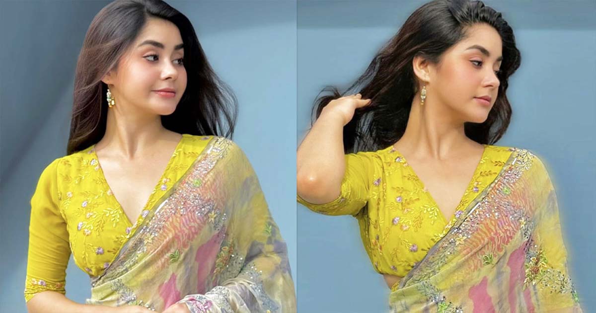 শাড়িতে রাঙিয়ে দিলেন রোজা