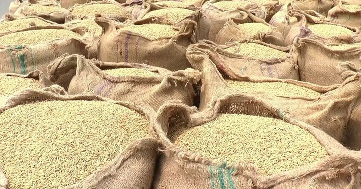ভারতে চাল ও গমের মজুতে নতুন রেকর্ড