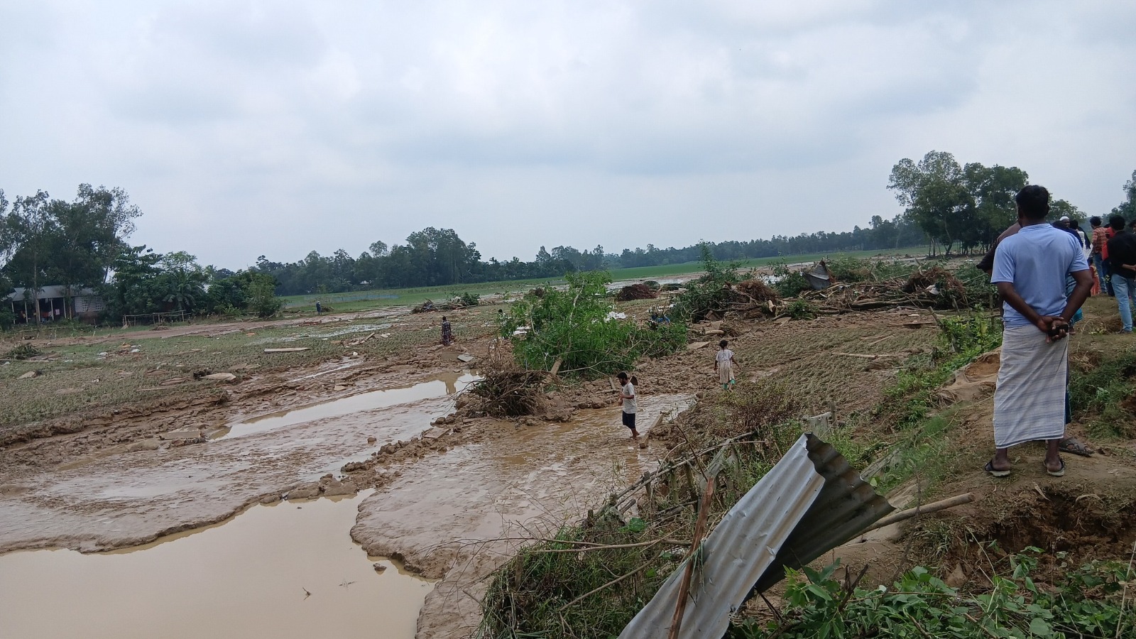 শেরপুরে পাহাড়ি ঢলে দুইজনের মৃত্যু, কয়েক হাজার হেক্টর আমন ও সবজি ক্ষতিগ্রস্ত