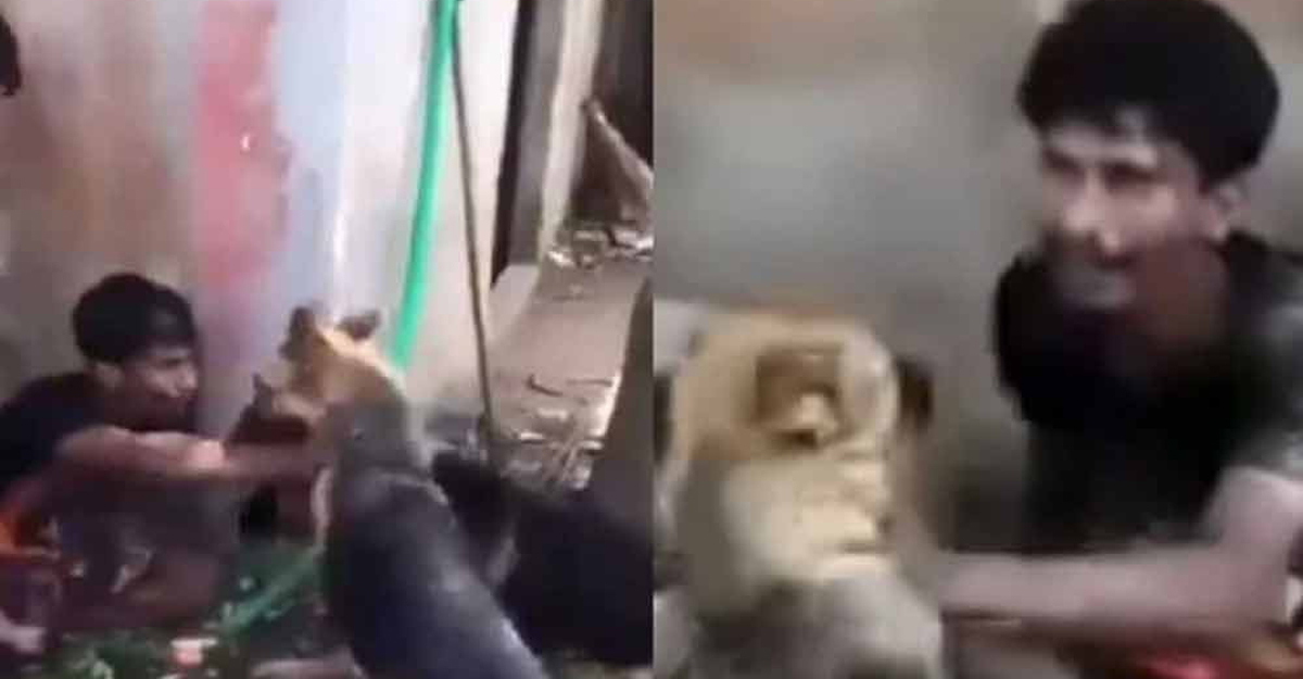 কুমিল্লায় কুকুর লেলিয়ে যুবককে নির্যাতনের ঘটনায় গ্রেপ্তার ৩
