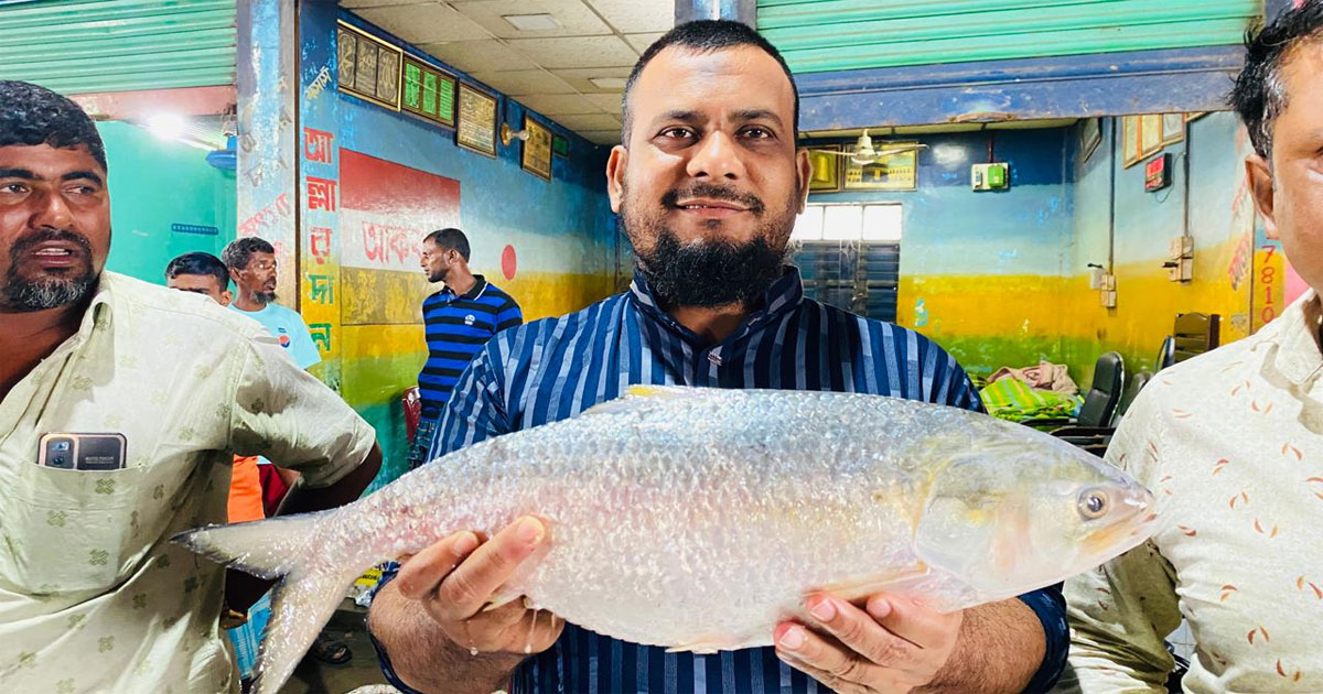 দুই লাখ ১৩ হাজার টাকায় বিক্রি হলো ৮০টি ইলিশ
