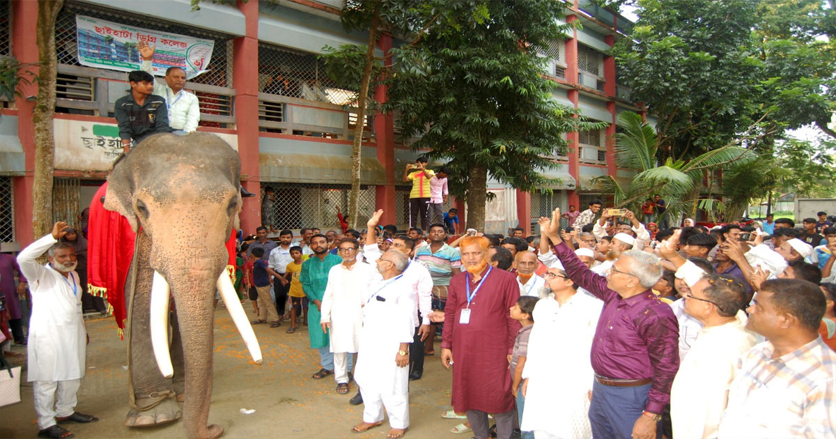হাতির পিঠে চড়িয়ে বিদায় জানানো হলো কলেজ অধ্যক্ষকে