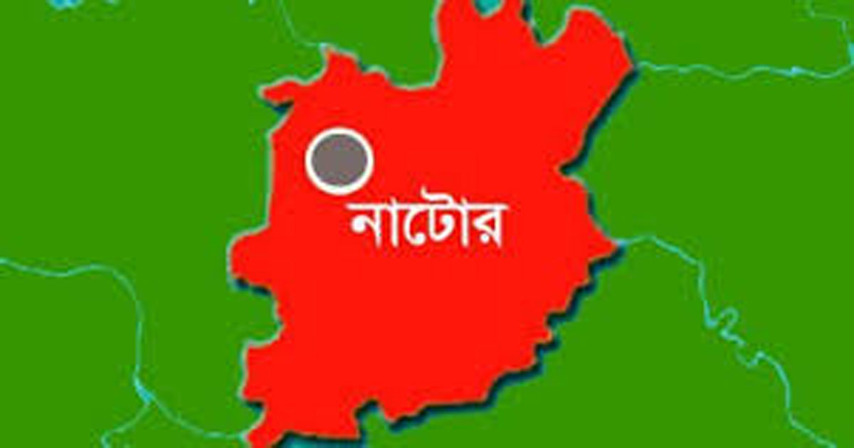 নাটোরের লালপুরে পৃথক সড়ক দুর্ঘটনায় ২জনের মৃত্যু