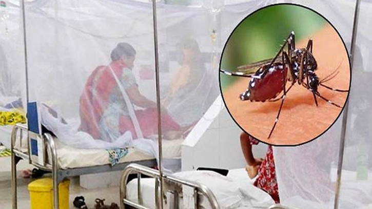২৪ ঘণ্টায় ডেঙ্গুতে মৃত্যু ২, নতুন হাসপাতালে ভর্তি ৩৯৬