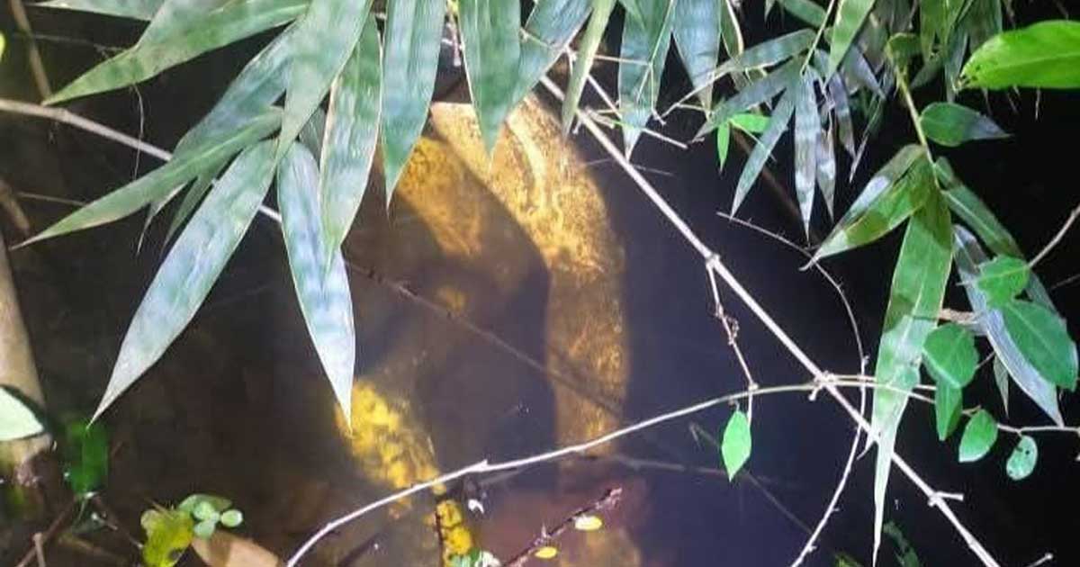 নিখোঁজ রাজমিস্ত্রির হাত-পা বাঁধা মরদেহ উদ্ধার