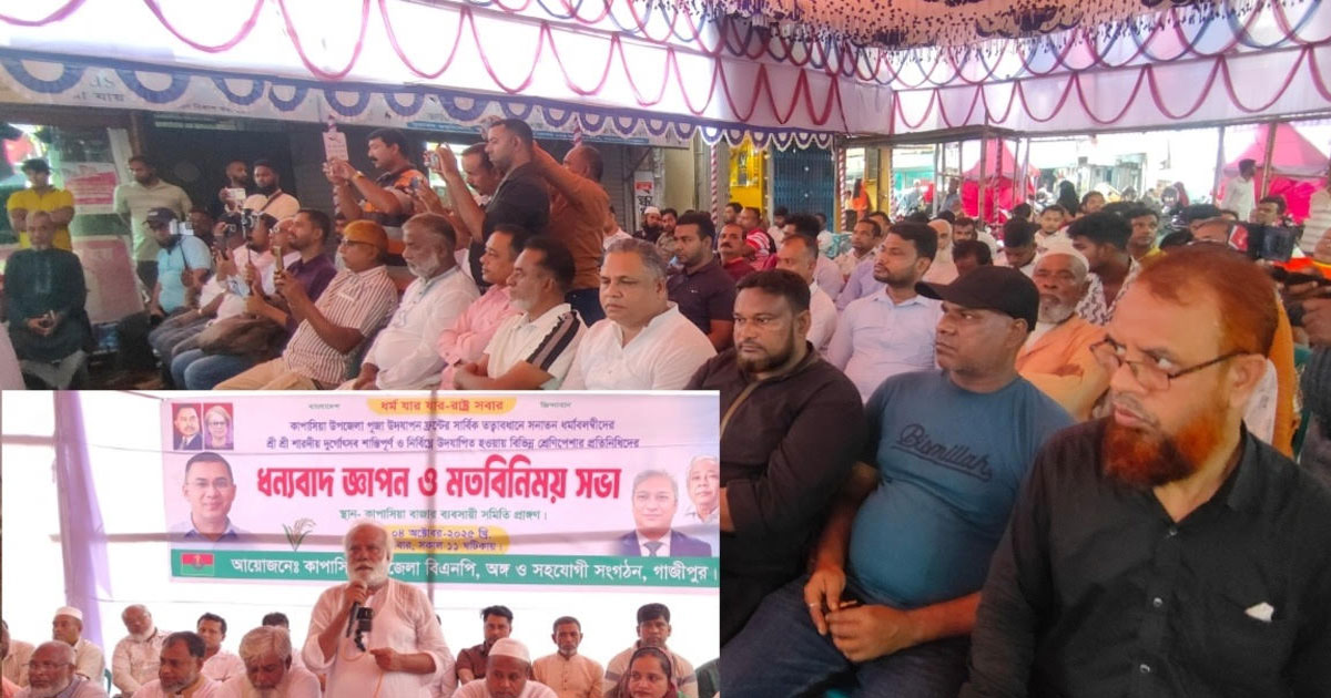 কাপাসিয়ায় বিএনপির উদ্যোগে শান্তিপূর্ণ দুর্গোৎসব পরবর্তী মতবিনিময় সভা