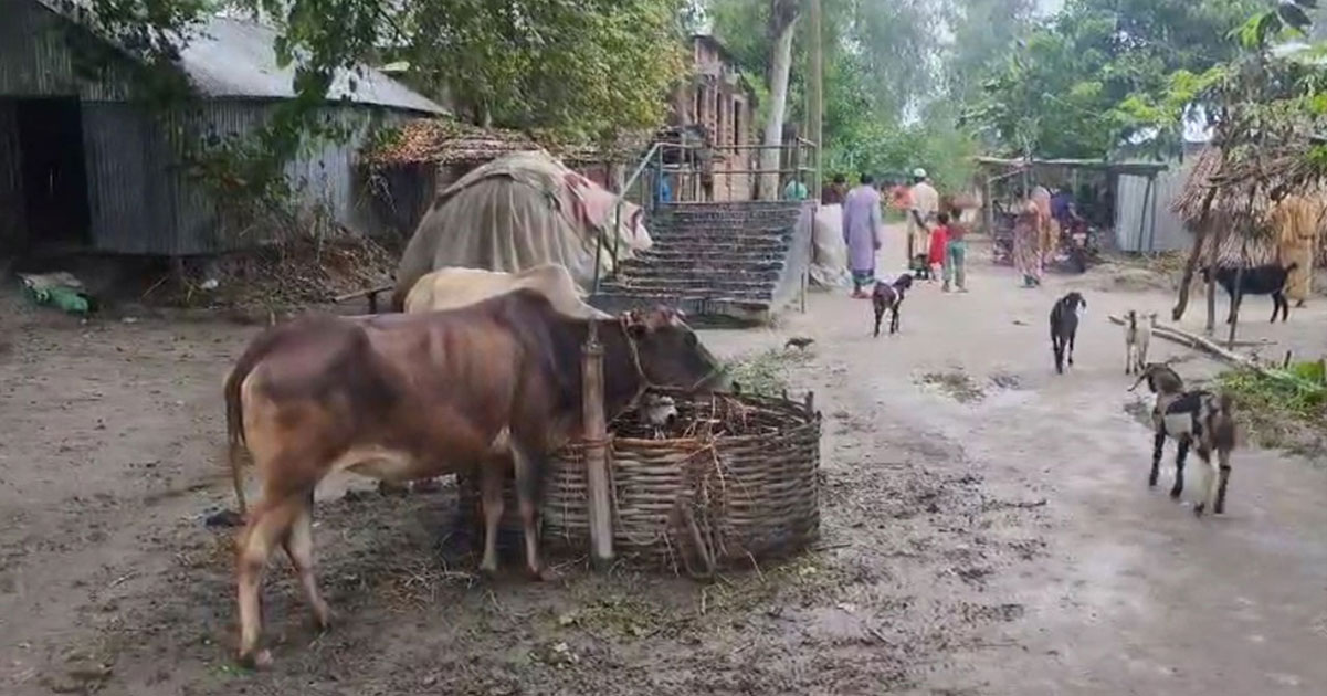 গাইবান্ধায় অ্যানথ্রাক্স উপসর্গ নিয়ে গৃহবধূর মৃত্যু