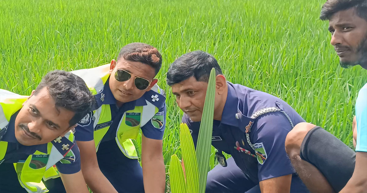 বজ্রপাত প্রতিরোধ ও পরিবেশের ভারসাম্য রক্ষায় পুলিশের তাল গাছের চারা রোপণ