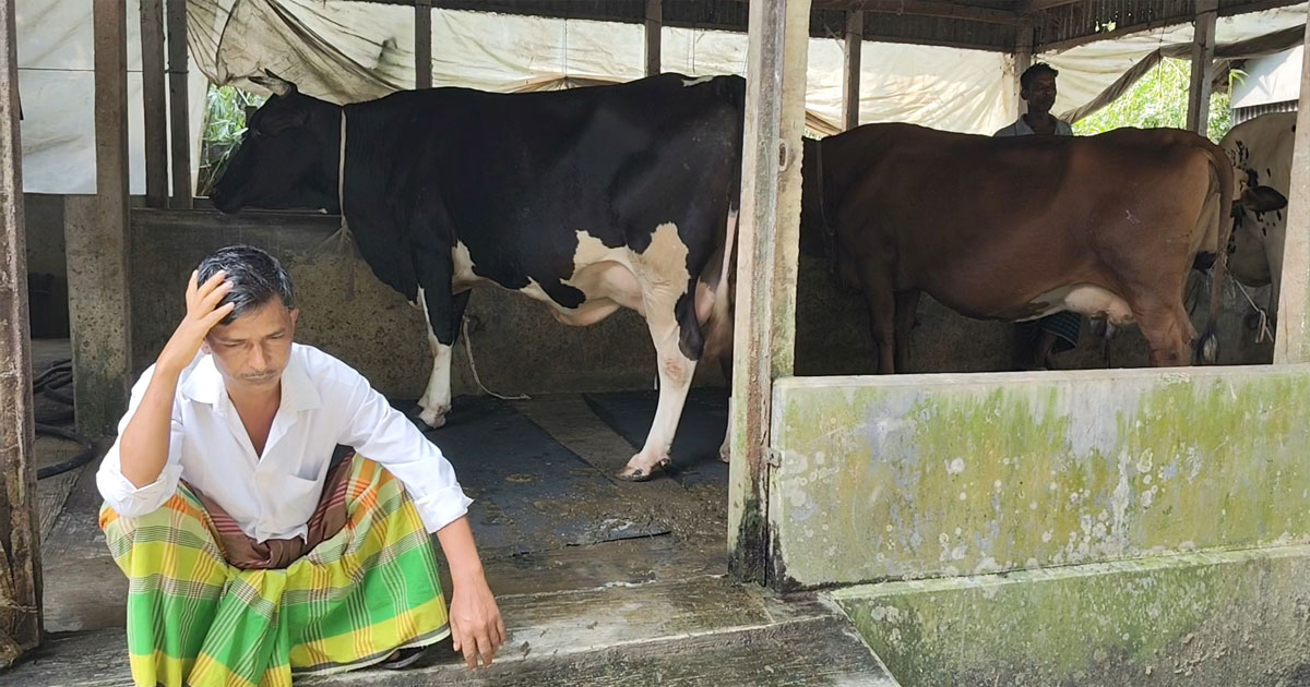 চাঁদা না দেওয়ায় ছিনতাইয়ের অভিযোগ খামারির