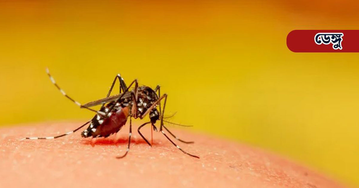 ডেঙ্গুতে আরও ৪ মৃত্যু, আক্রান্ত ৮১৪
