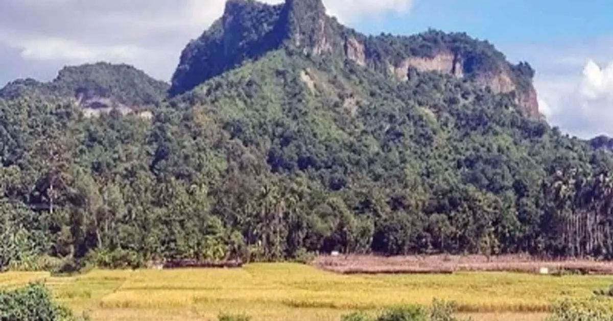 টেকনাফের পাহাড়ে জিম্মি ৪৪ নারী-শিশু উদ্ধার