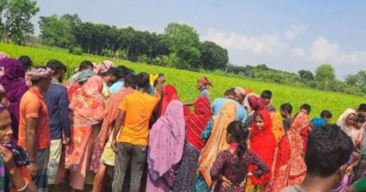 দৌলতপুরে জমি সংক্রান্ত বিরোধের জেরে ভাইয়ের হাতে ভাই খুন