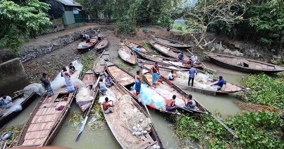 নিষেধাজ্ঞা শেষে চাঁদপুরের পদ্মা-মেঘনায় চলছে ইলিশ ধরার প্রস্তুতি