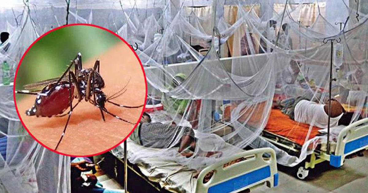ডেঙ্গুতে একদিনে ৬ জনের মৃত্যু, আক্রান্ত ৯৮৩