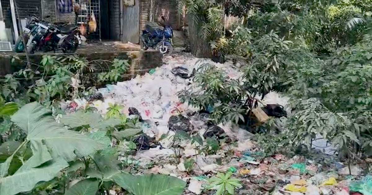 ময়লার ভাগাড়ে পরিণত হচ্ছে ‘নড়িয়া’