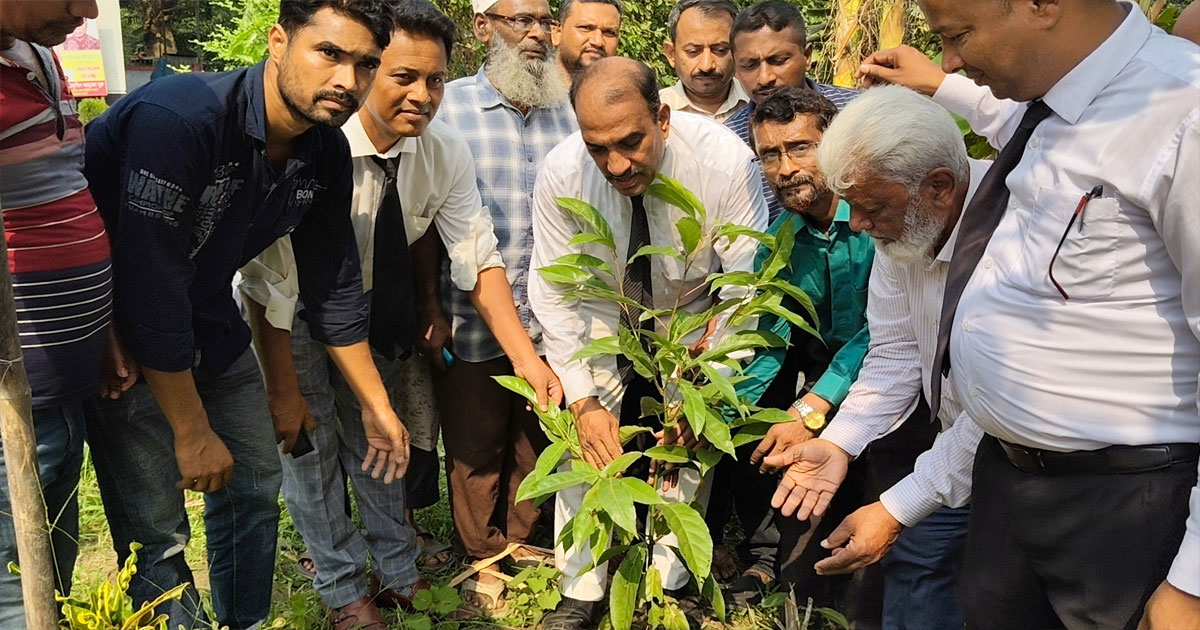 যুবদলের প্রতিষ্ঠাবার্ষিকী উপলক্ষ্যে ফলদ ও বনজ গাছ‌ রোপন