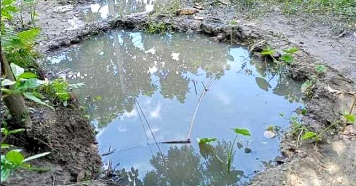 কুলিয়ারচরে পানিতে পড়ে শিশুর মৃত্যু