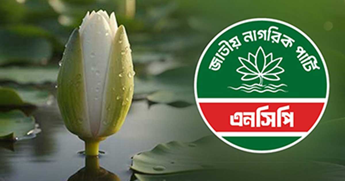 শেষমেশ শাপলা কলিতেই রাজি এনসিপি