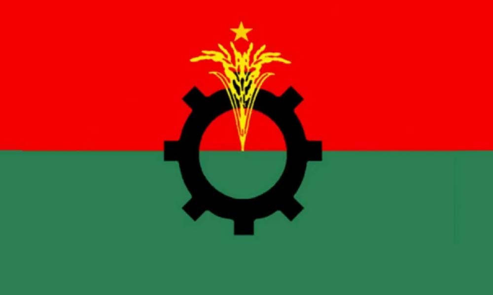 ভিপি নুর ও ফুয়াদের এলাকায় দলীয় প্রার্থী দেয়নি বিএনপি