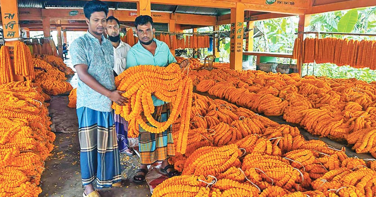 ঝিনাইদহের গান্না বাজার মৌসুমে দিনে কোটি টাকার ফুল বিক্রির আশা
