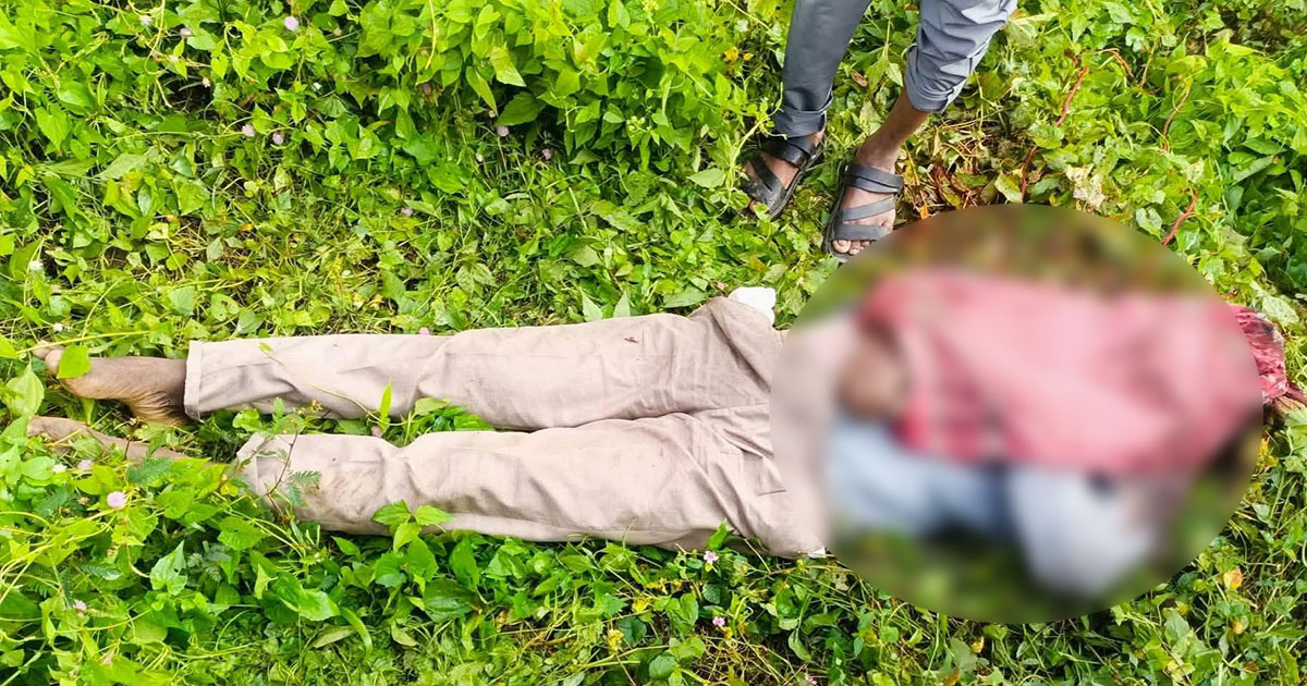 বগুড়ায় অটোরিকশা চালকের গলাকাটা মরদেহ উদ্ধার